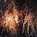 DSC00607